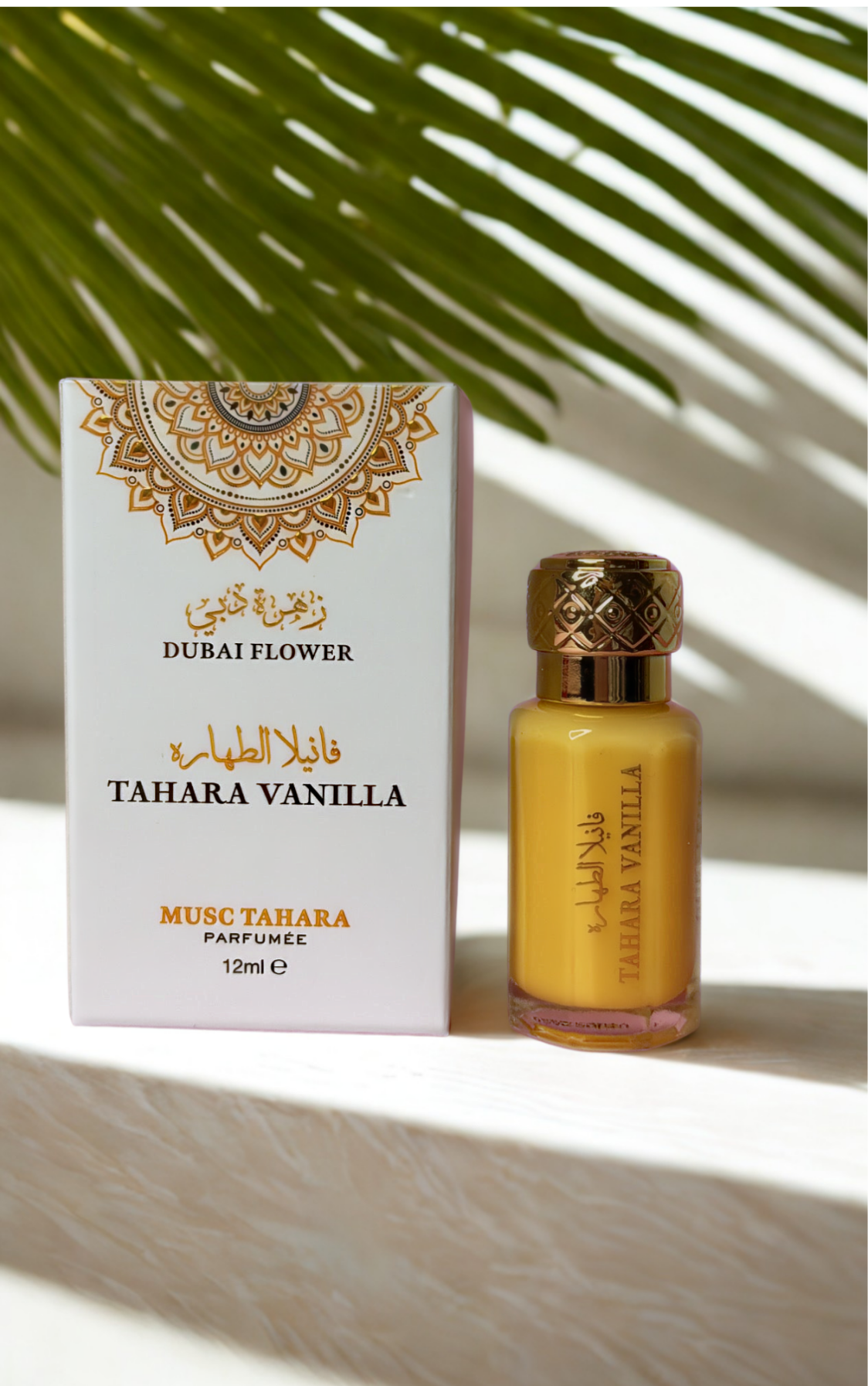 MUSC INTIME - TAHARA VANILLA